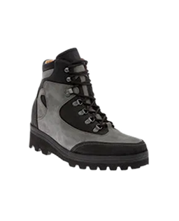schoen
